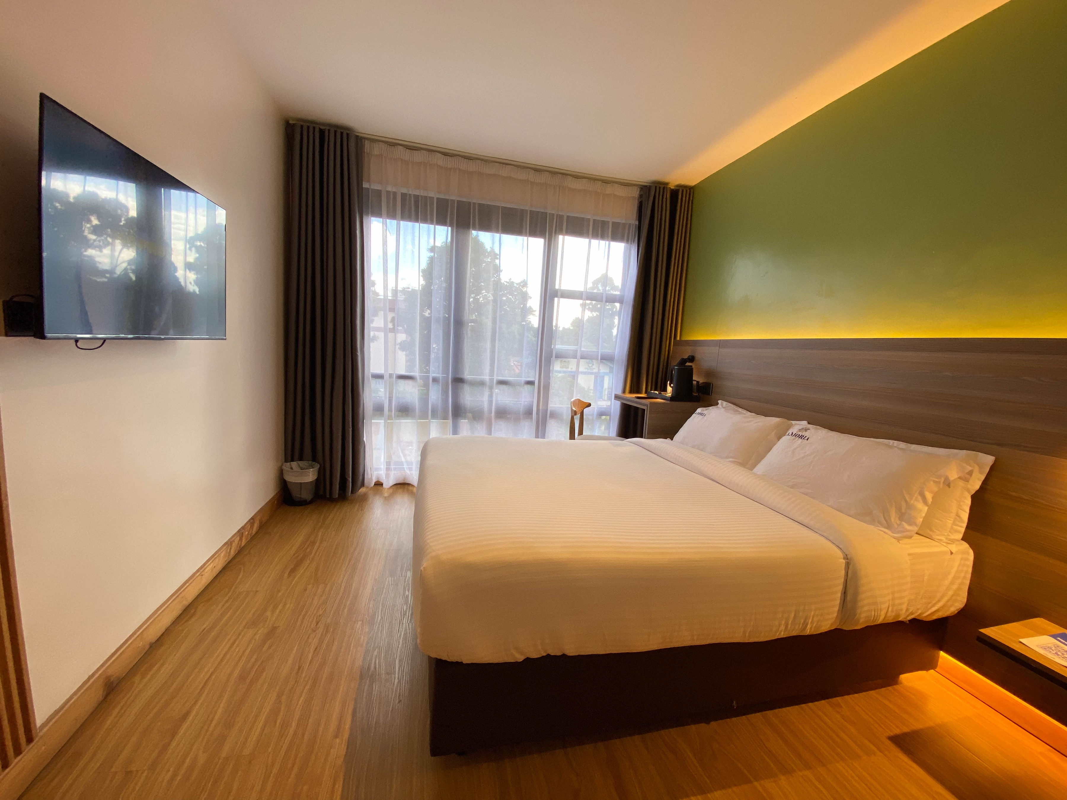 Guest room viewed from the entrance, with a made bed, green feature wall, wall-mounted TV and sheer-curtained window