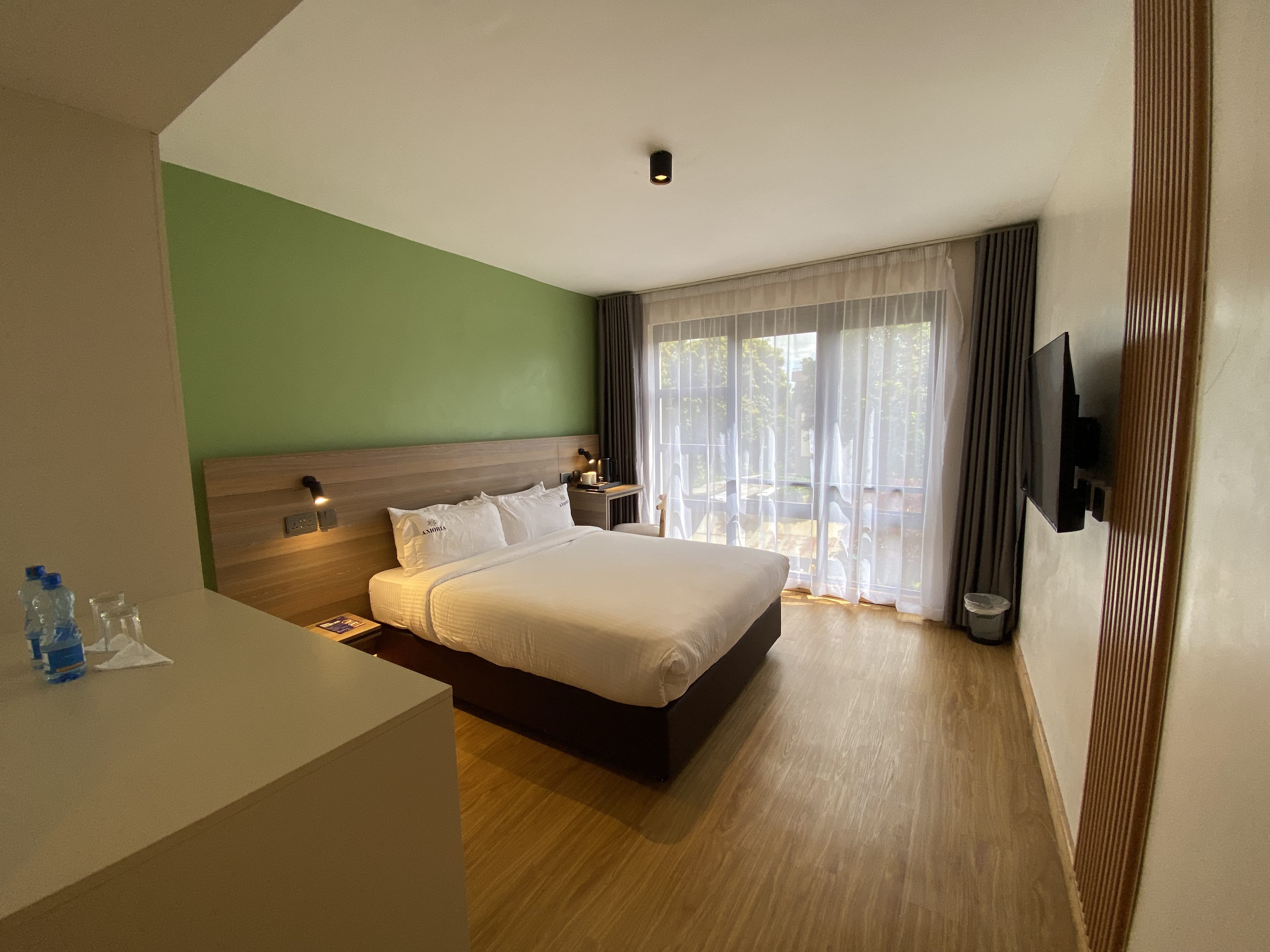 The Deluxe room from the entrance — bed, garden window and wall-mounted TV